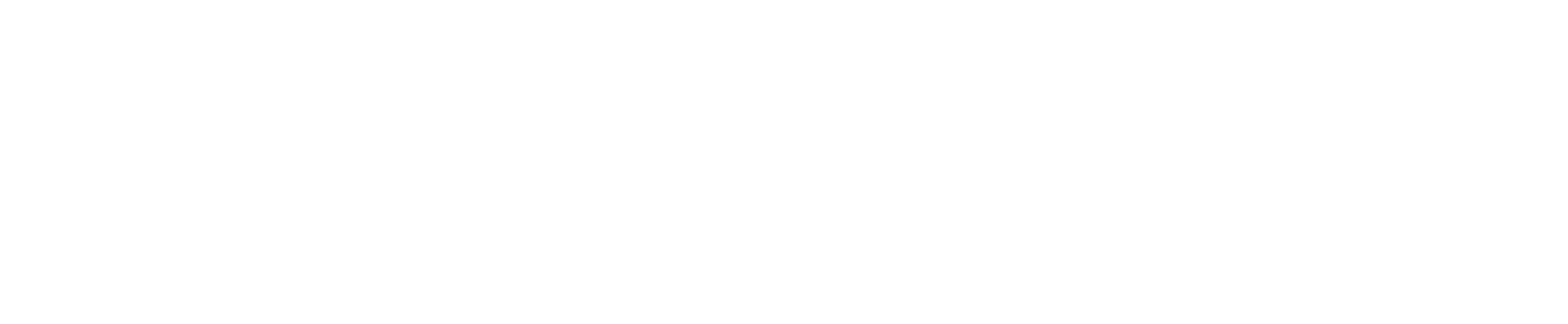 ViDA by iRAP logo